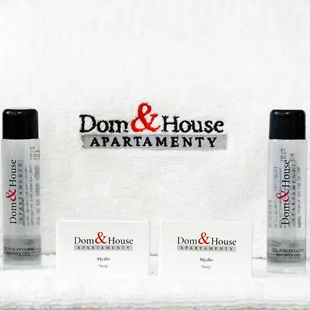Dom & House - Zygmuntowka Centrum غدينيا